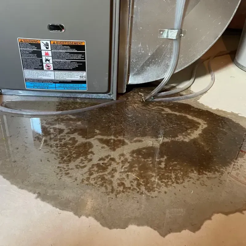 Appliance Leak Cleanup in Painesville, OH